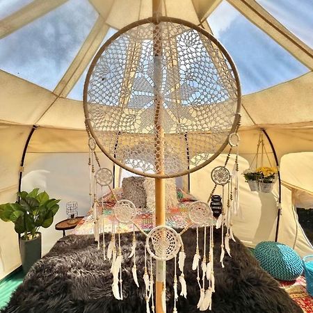 The Aries-A Stargazing, Luxury Glamping Tent Rogersville Esterno foto