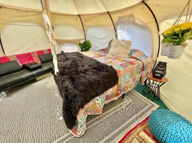 The Aries-A Stargazing, Luxury Glamping Tent Rogersville Esterno foto
